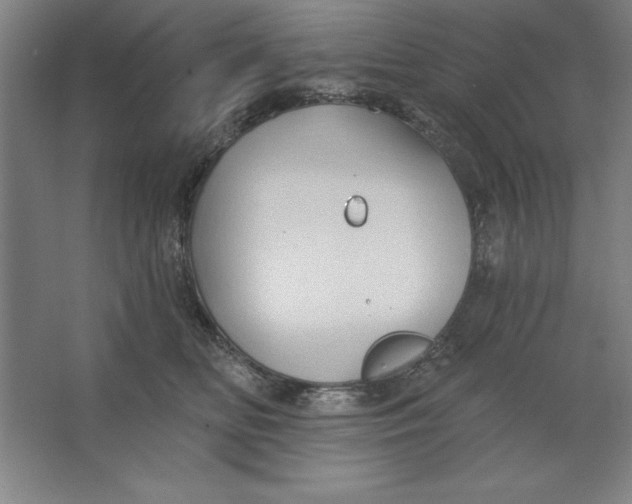 X0000062140518200512301531