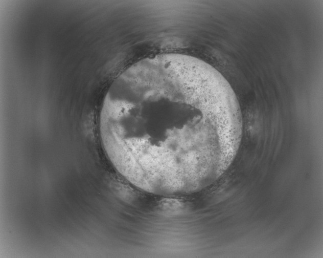 X0000062140519200512301531