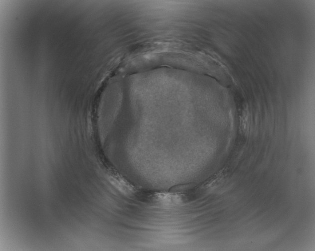 X0000062140520200512301530