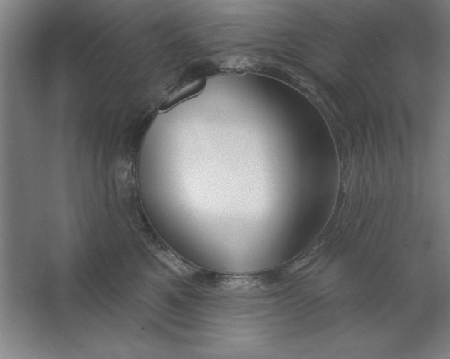 X0000062140521200512301530