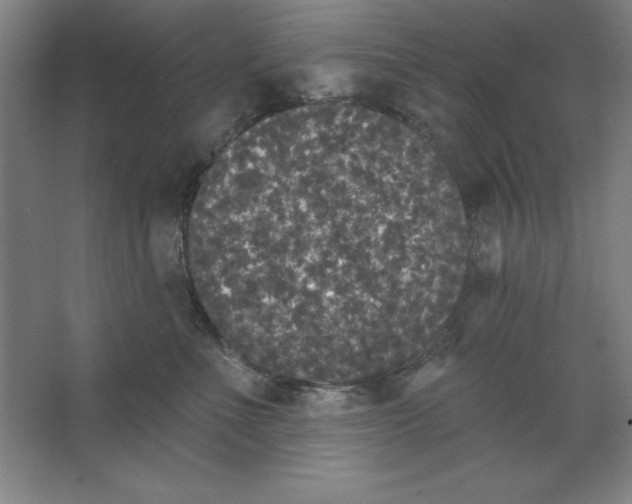 X0000062140523200512301530