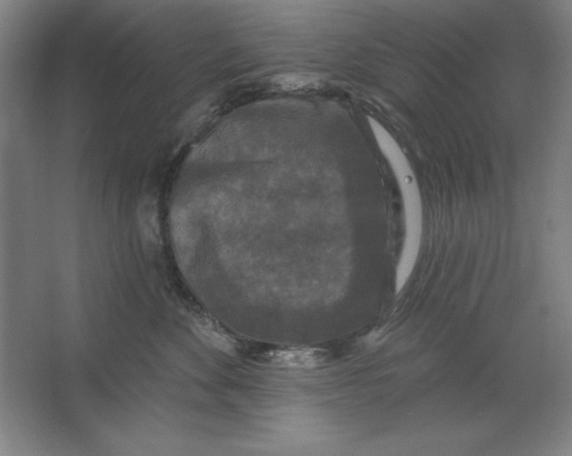 X0000062140524200512301530