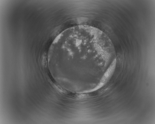 X0000062140527200512301530