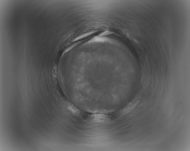 X0000062140528200512301530