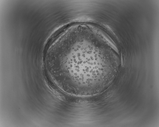 X0000062140531200512301530