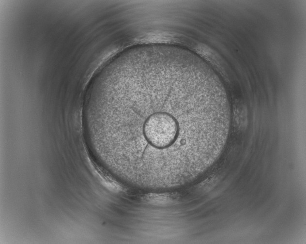 X0000062140534200512301530