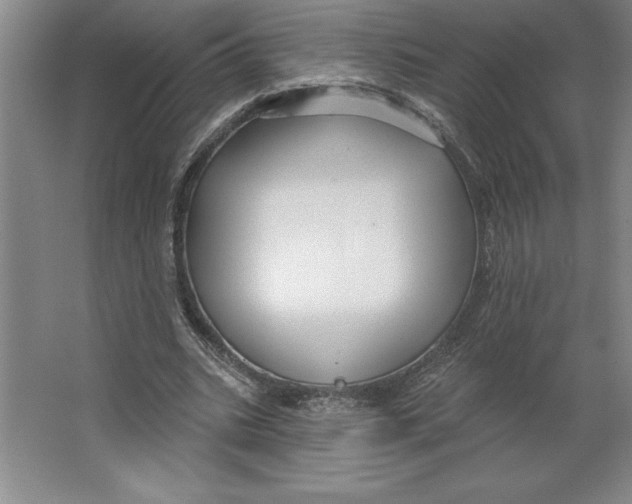 X0000062140535200512301530