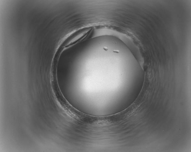 X0000062140536200512301530