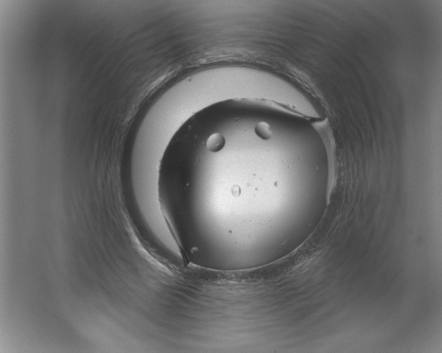 X0000062140538200512301530