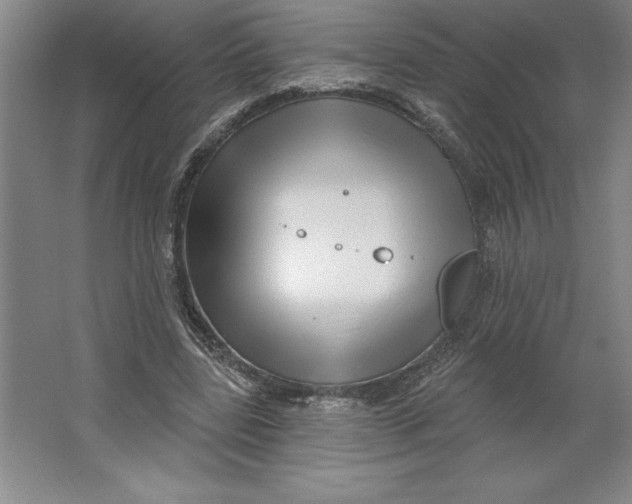 X0000062140539200512301530