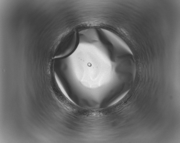 X0000062140543200512301530