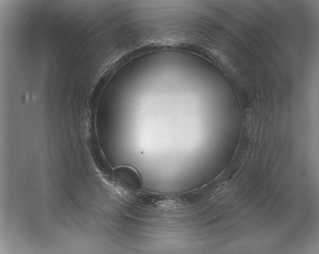 X0000062140544200512301530