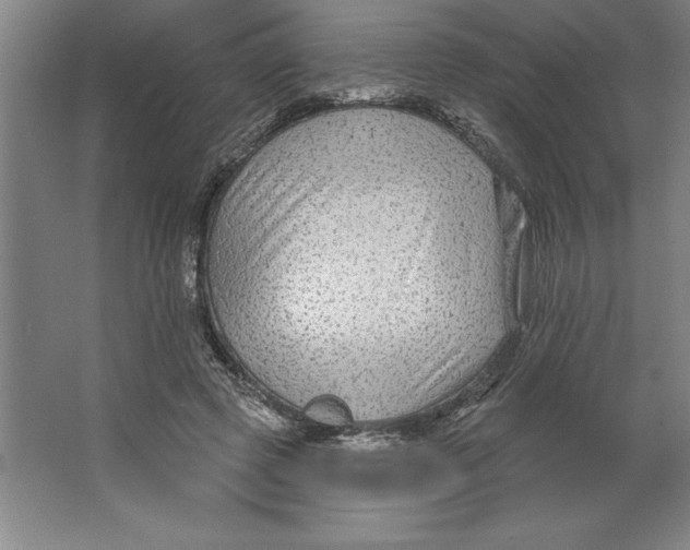 X0000062140545200512301530