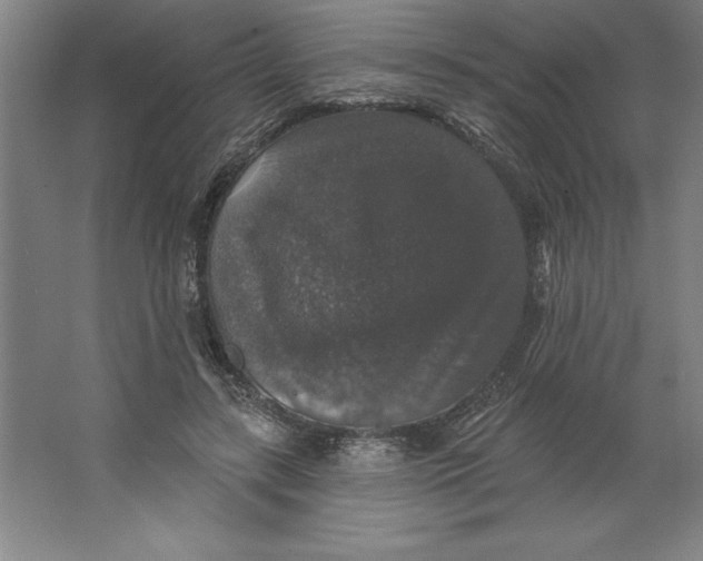 X0000062140547200512301530