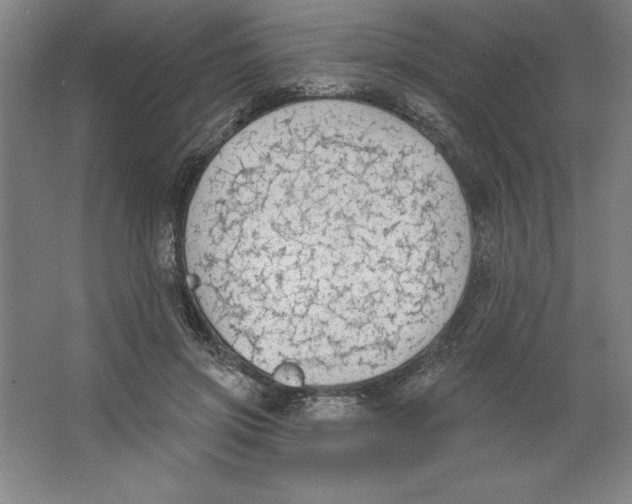 X0000062140549200512301530