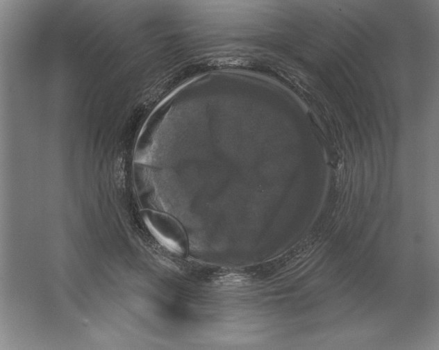 X0000062140551200512301530