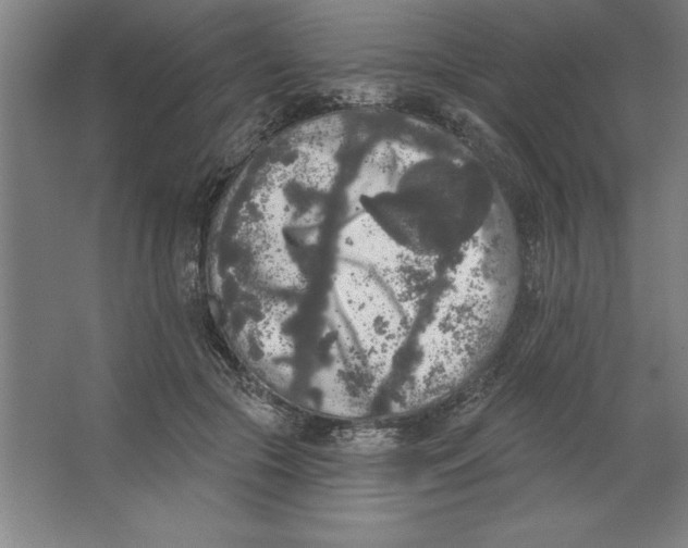 X0000062140553200512301530