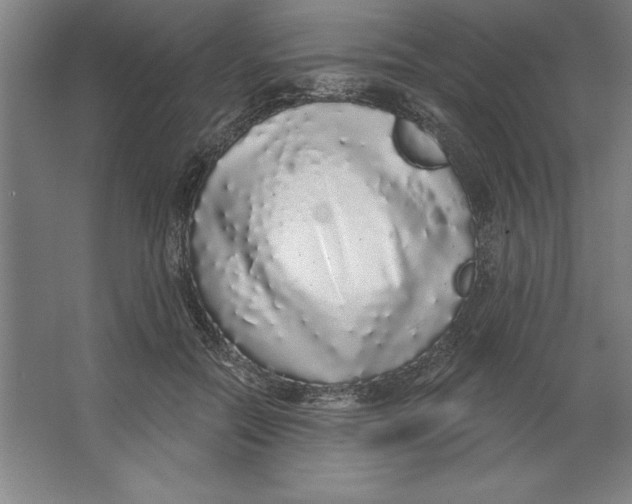 X0000062140554200512301530