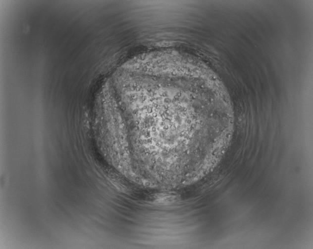 X0000062140555200512301530