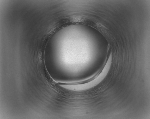 X0000062140556200512301530