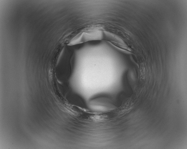 X0000062140558200512301530