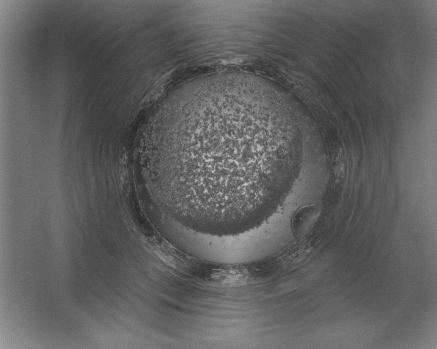 X0000062140559200512301530