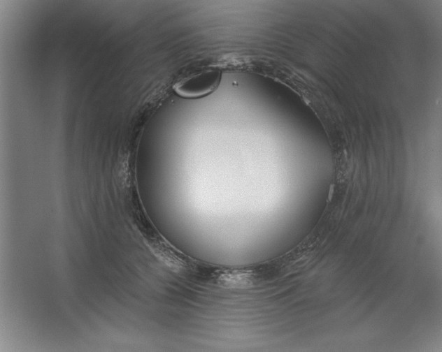 X0000062140560200512301530