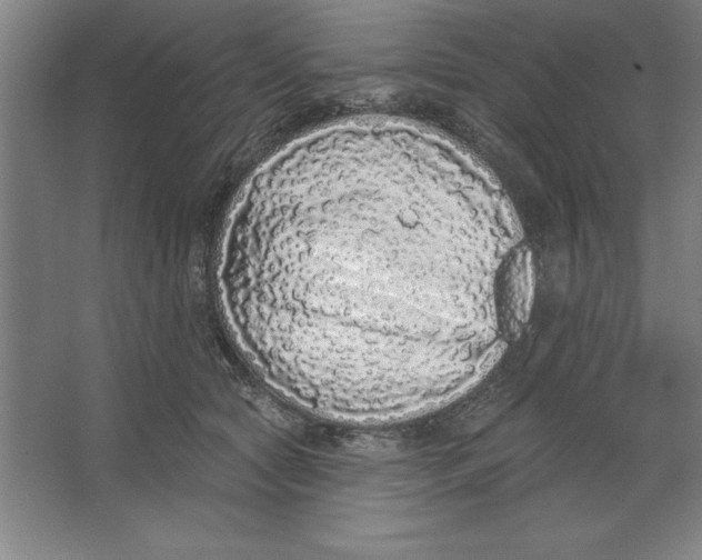 X0000062140561200512301530