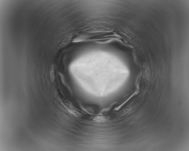 X0000062140562200512301530