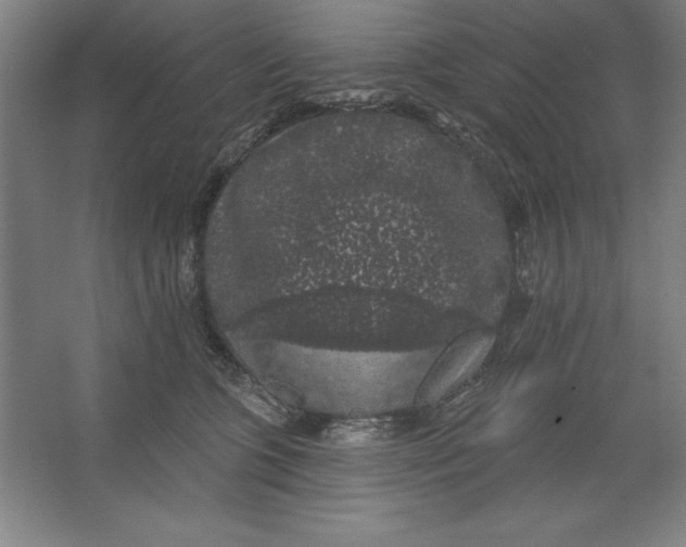 X0000062140563200512301530