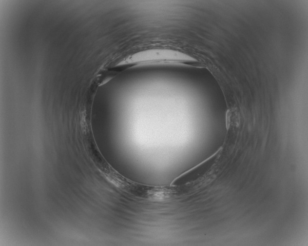 X0000062140564200512301530