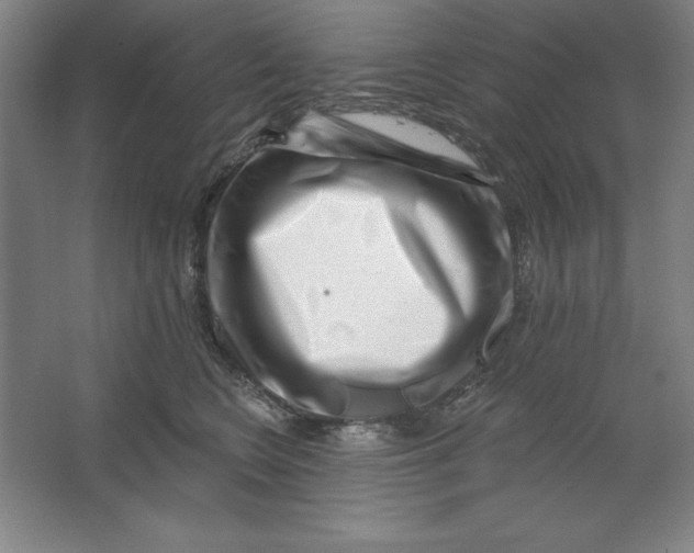 X0000062140566200512301530