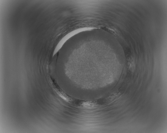 X0000062140568200512301530