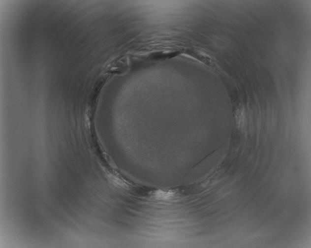 X0000062140570200512301530