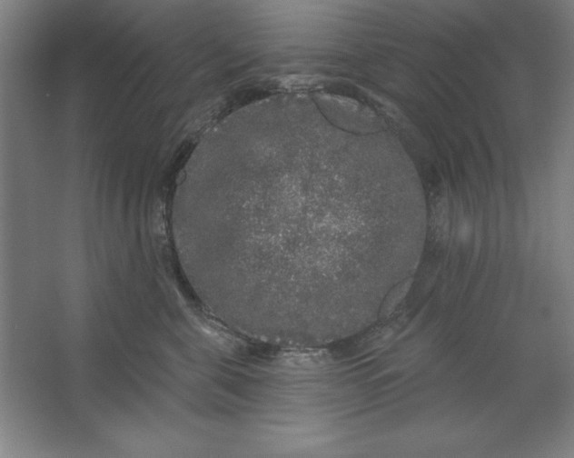 X0000062140571200512301530