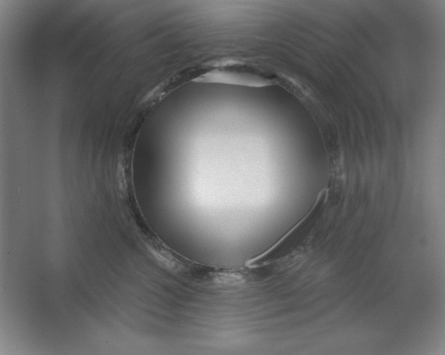 X0000062140572200512301530