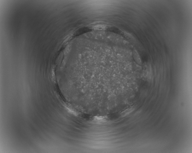 X0000062140573200512301530