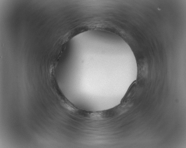 X0000062140574200512301530