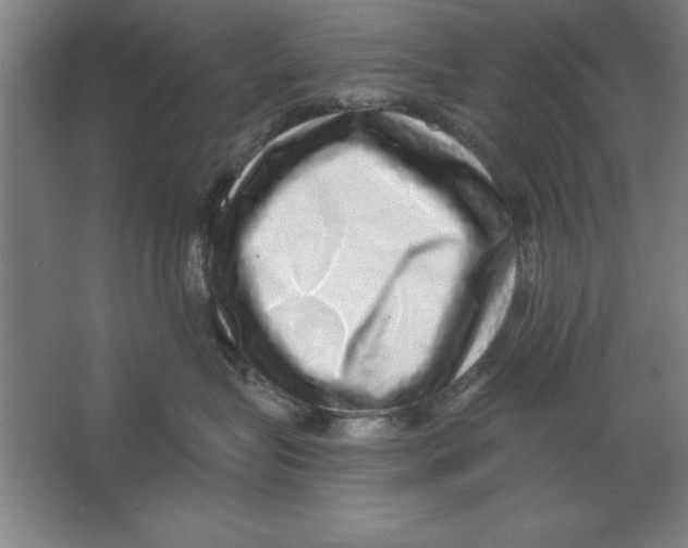 X0000062140575200512301530