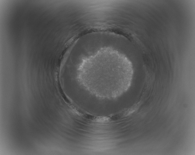 X0000062140576200512301530