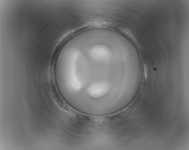 X0000062140579200512301529