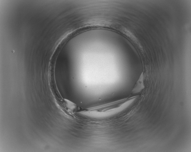 X0000062140580200512301529