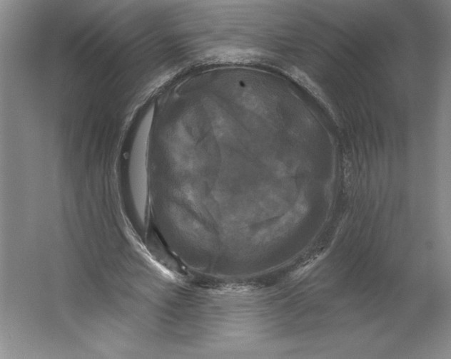 X0000062140581200512301529