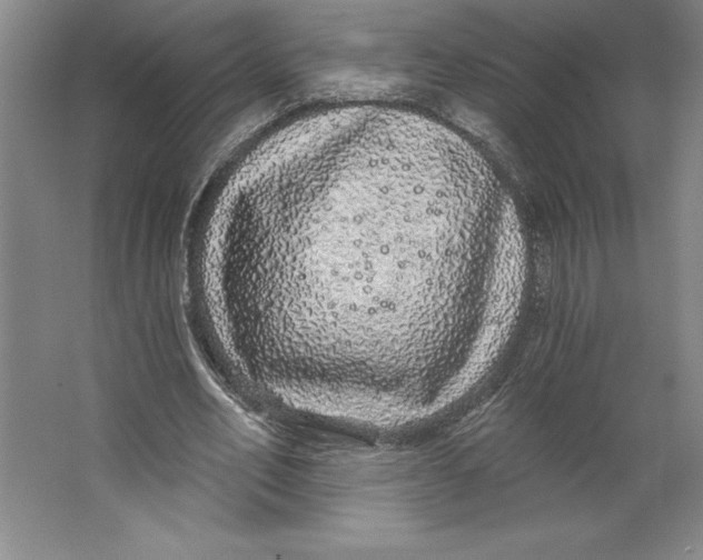 X0000062140582200512301529