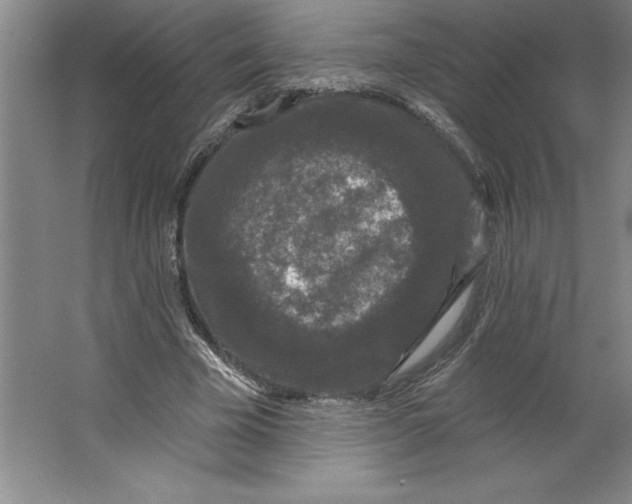 X0000062140585200512301529