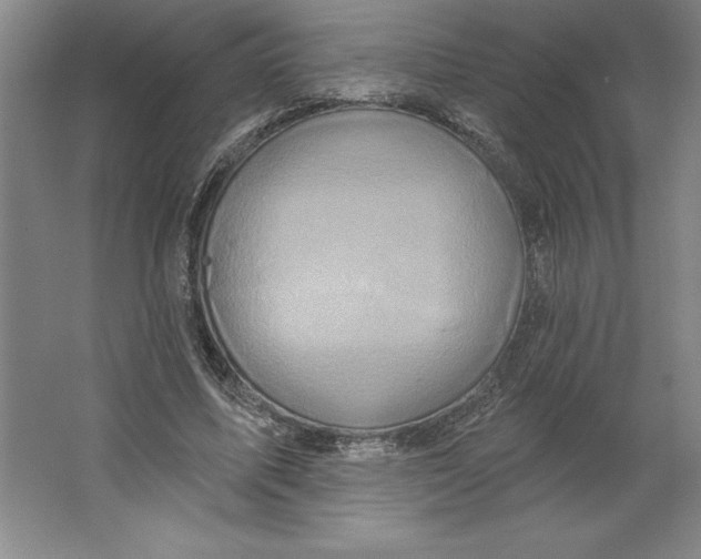 X0000062140587200512301529