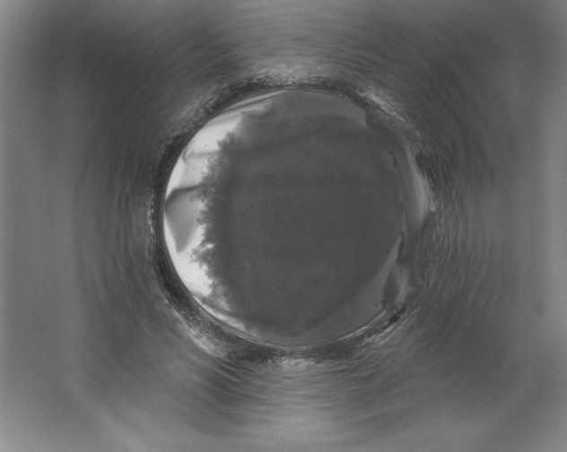 X0000062140590200512301529