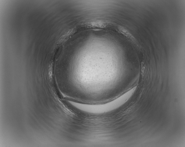 X0000062140593200512301529