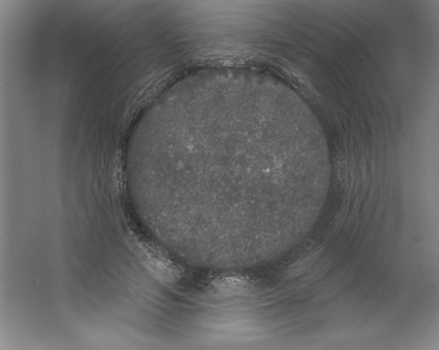 X0000062140594200512301529