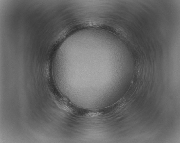 X0000062140595200512301529